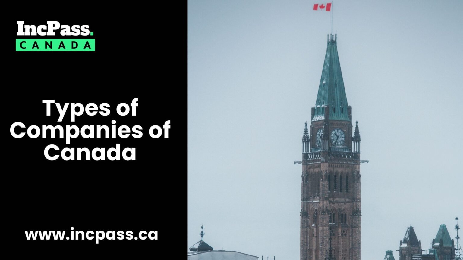 8 Types of Companies in Canada You Should Know: Easy Guide